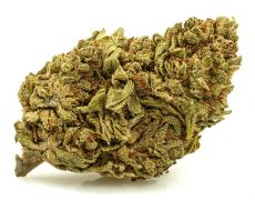 DO SI DOS small cannabis light