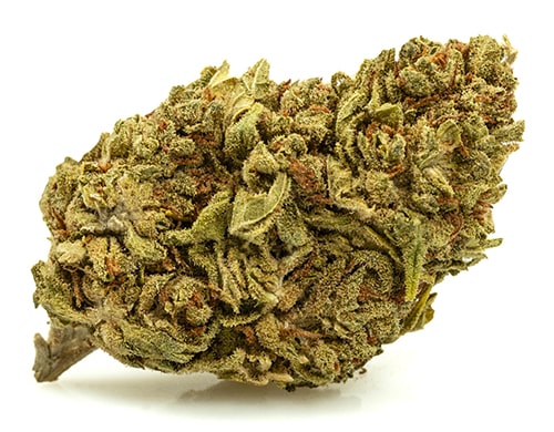 DO SI DOS small cannabis light