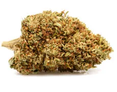 fiore di cannabis light do si dos fiore di cannabis light do si dos