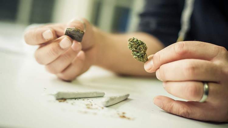 hashish e marijuana differenze realie e sostanziali