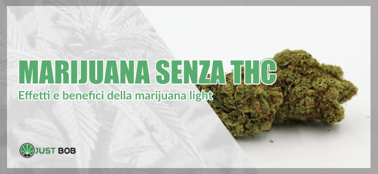 marijuana senza thc