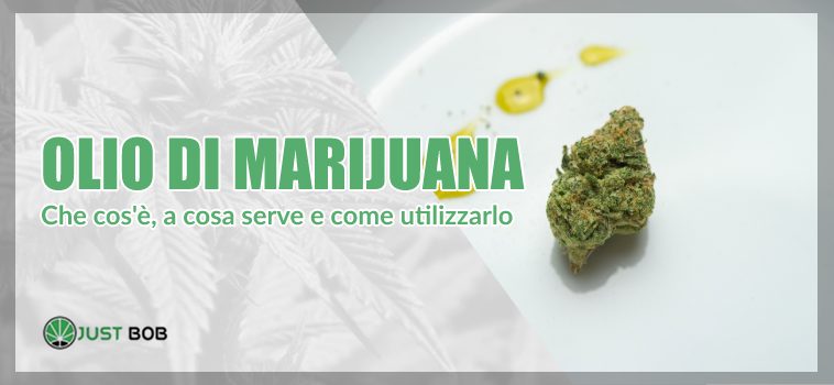 olio di marijuana