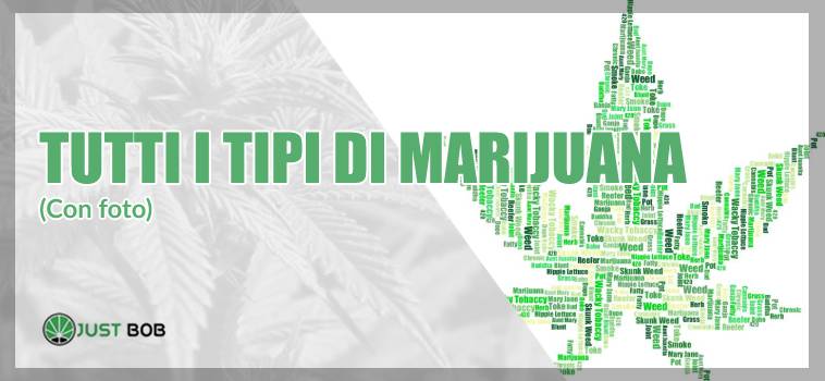 tipi di marijuane