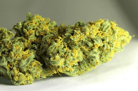 lemon haze marijuana light