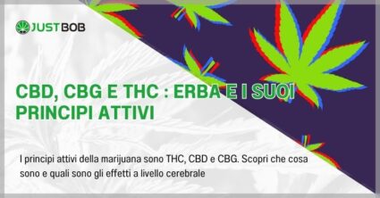 CBD, CBG e THC : erba e i suoi principi attivi