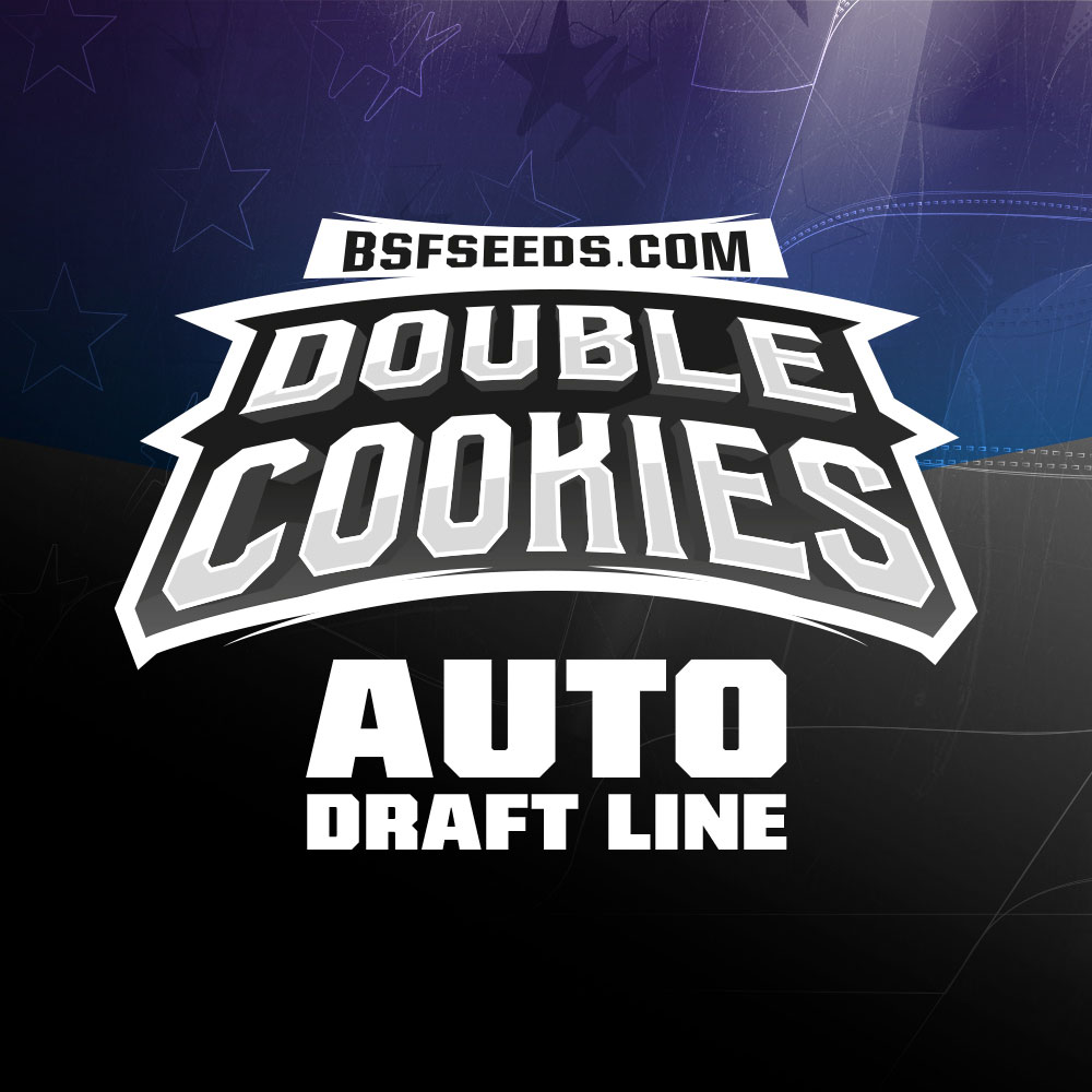 double-cookies-auto-logo double-cookies-auto-logo