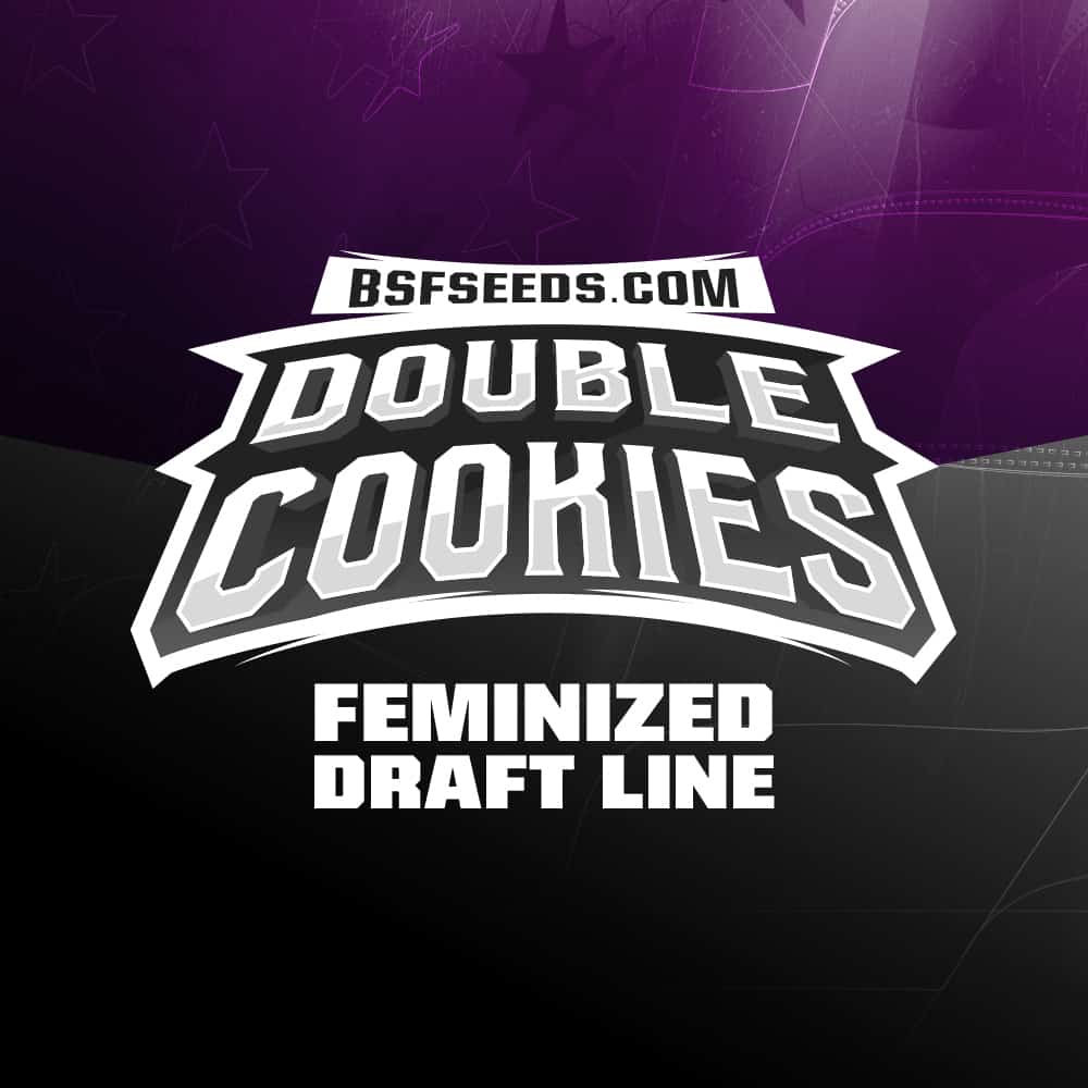 double-cookies-fem-logo double-cookies-fem-logo