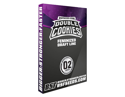 double-cookies-feminized-semi-thc-autofiorenti double-cookies-feminized-semi-thc-autofiorenti