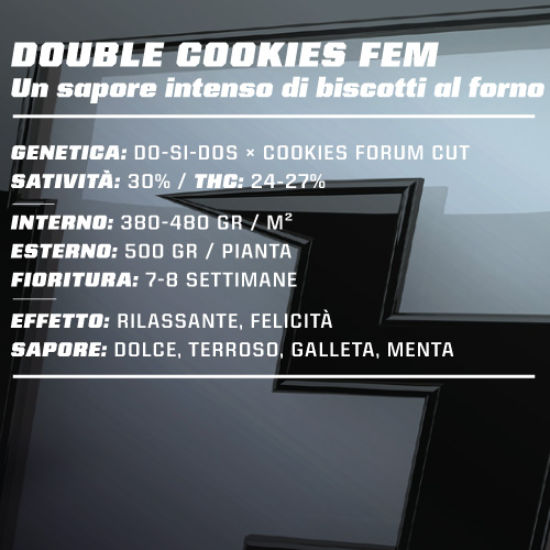 double-cookies-femminizzata-info double-cookies-femminizzata-info