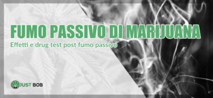 fumo-passivo-marijuana fumo passivo marijuana