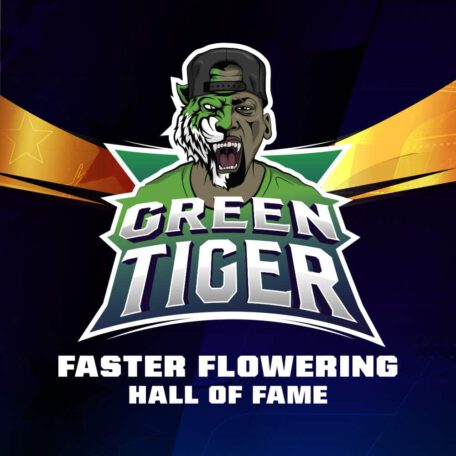 green-tiger-semi-cannabis-logo green-tiger-semi-cannabis-logo