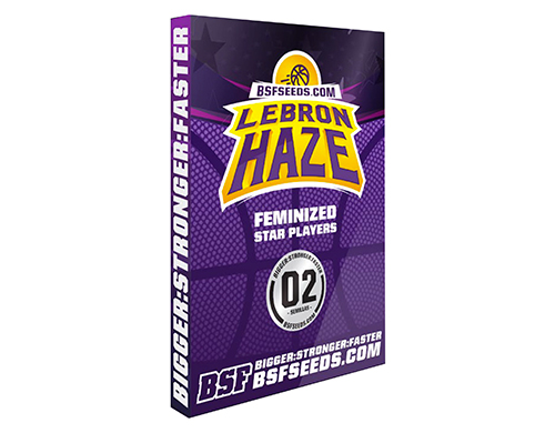 lebron-haze-semi-canapa-femminizzata lebron-haze-semi-canapa-femminizzata