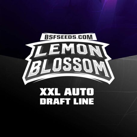 lemon-blossom-auto-logo lemon-blossom-auto-logo