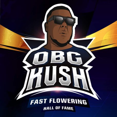 ogb-kush-logo ogb-kush-logo