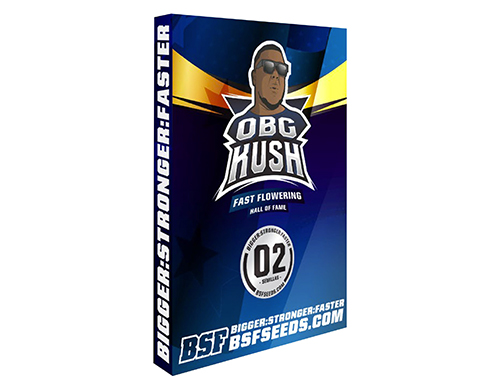 ogb-kush-semi-marijuana-thc ogb-kush-semi-marijuana-thc