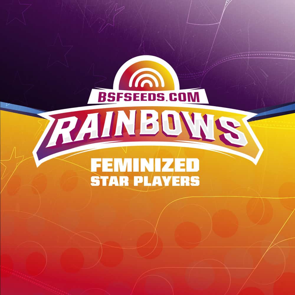 rainbows-fem-logo rainbows-fem-logo