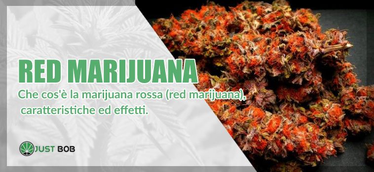 red marijuana