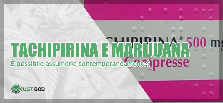 tachipirina e marijuana