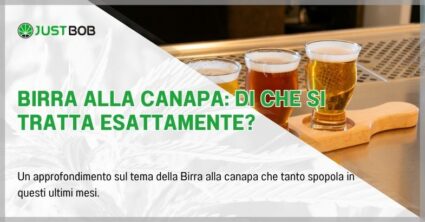 Birra alla canapa: di che si tratta esattamente?