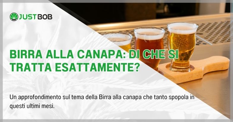Birra alla canapa: di che si tratta esattamente?
