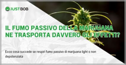 Il fumo passivo della marijuana ne trasporta davvero gli effetti?