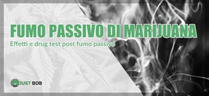 Il fumo passivo della marijuana ne trasporta davvero gli effetti?