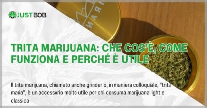 Trita marijuana: che cos'è, come funziona e perché è utile