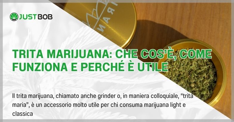 Trita marijuana: che cos'è, come funziona e perché è utile