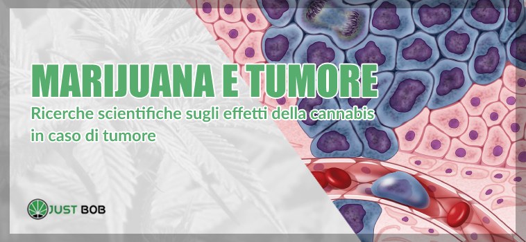 marijuana e tumore