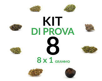 marijuana-kit-8 marijuana-kit-8