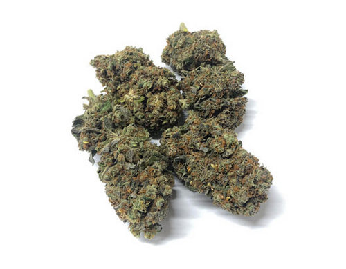 California-Haze-cannabis-italia-marijuana-legale-weed-shop California-Haze-cannabis-italia-marijuana-legale-weed-shop