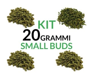 Kit 20 Small Buds Kit 20 grammi Small Buds Justbob.it