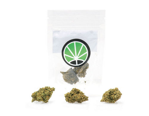 bubblegum-cannabis-light-italia-marijuana-shop bubblegum-cannabis-light-italia-marijuana-shop