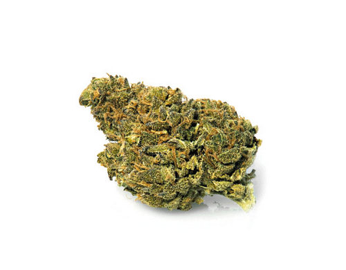 bubblegum-marijuana-legale-cannabis-light-italia bubblegum-marijuana-legale-cannabis-light-italia