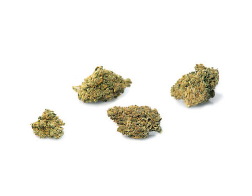 bubblegum-weed-cannabis-legale-italia bubblegum-weed-cannabis-legale-italia