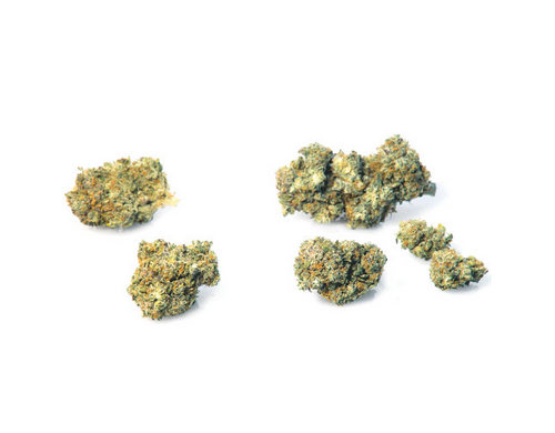 california-haze-erba-legale-marijuana-legale california-haze-erba-legale-marijuana-legale