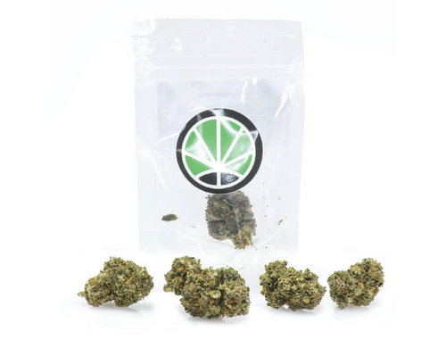 california-haze-weed-cannabis-legale-italia california-haze-weed-cannabis-legale-italia