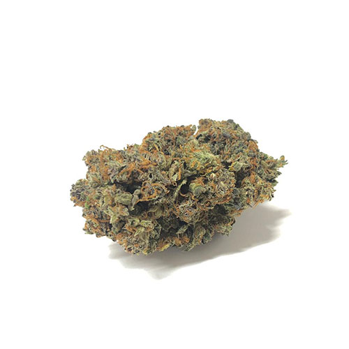 california-haze-weed-marijuana-legale-cannabis-italia california-haze-weed-marijuana-legale-cannabis-italia