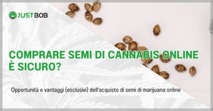 Comprare semi di cannabis online è sicuro?