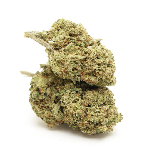 do-si-dos-cime-cbd-marijuana-cannabis-light-italia do-si-dos-cime-cbd-marijuana-cannabis-light-italia