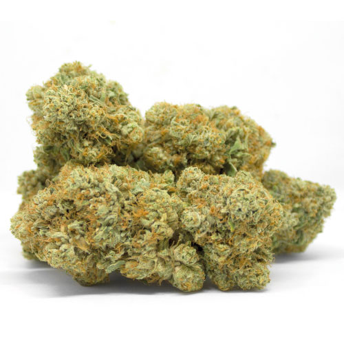 gorilla-glue-cannabis-legale-erba-italia gorilla-glue-cannabis-legale-erba-italia