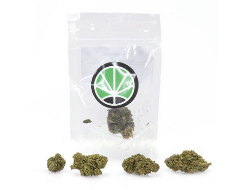 mango-haze-cannabis-legale-marijuana-legale mango-haze-cannabis-legale-marijuana-legale