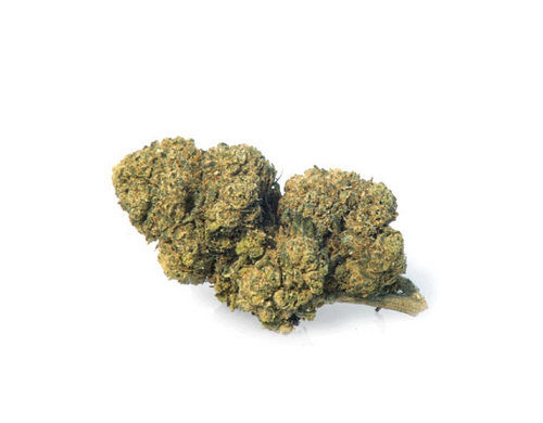 mango-haze-cannabis-light-marijuana-legale-cannabis-legale-italia mango-haze-cannabis-light-marijuana-legale-cannabis-legale-italia