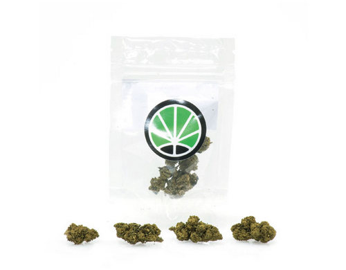 master-kush-weed-cannabis-legale-italia master-kush-weed-cannabis-legale-italia