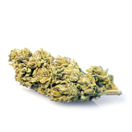melon-kush-weed-cannabis-legale-italia melon-kush-weed-cannabis-legale-italia