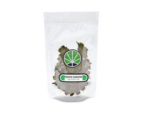 white-widow-cannabis-italia-marijuana-legale-erba-legale white-widow-cannabis-italia-marijuana-legale-erba-legale
