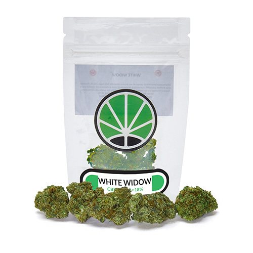 white-widow-marijuana-legale white-widow-marijuana-legale