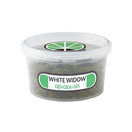 white-widow-weed-erba-legale-marijuana-legale-cannabis-italia white-widow-weed-erba-legale-marijuana-legale-cannabis-italia