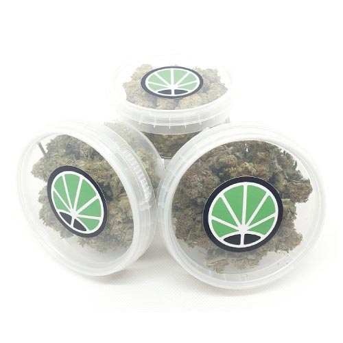 Kit-Natale-Marijuana-Light Kit-Natale-Marijuana-Light