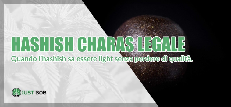 hashish Charas legale